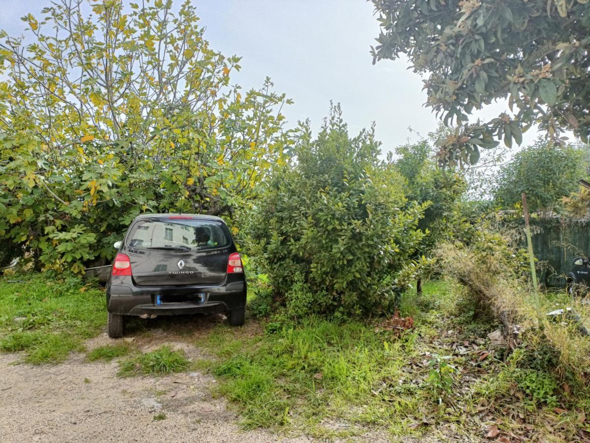 Un Bel Appartement Rez Jardin Parking Gratuit ヴァンス エクステリア 写真